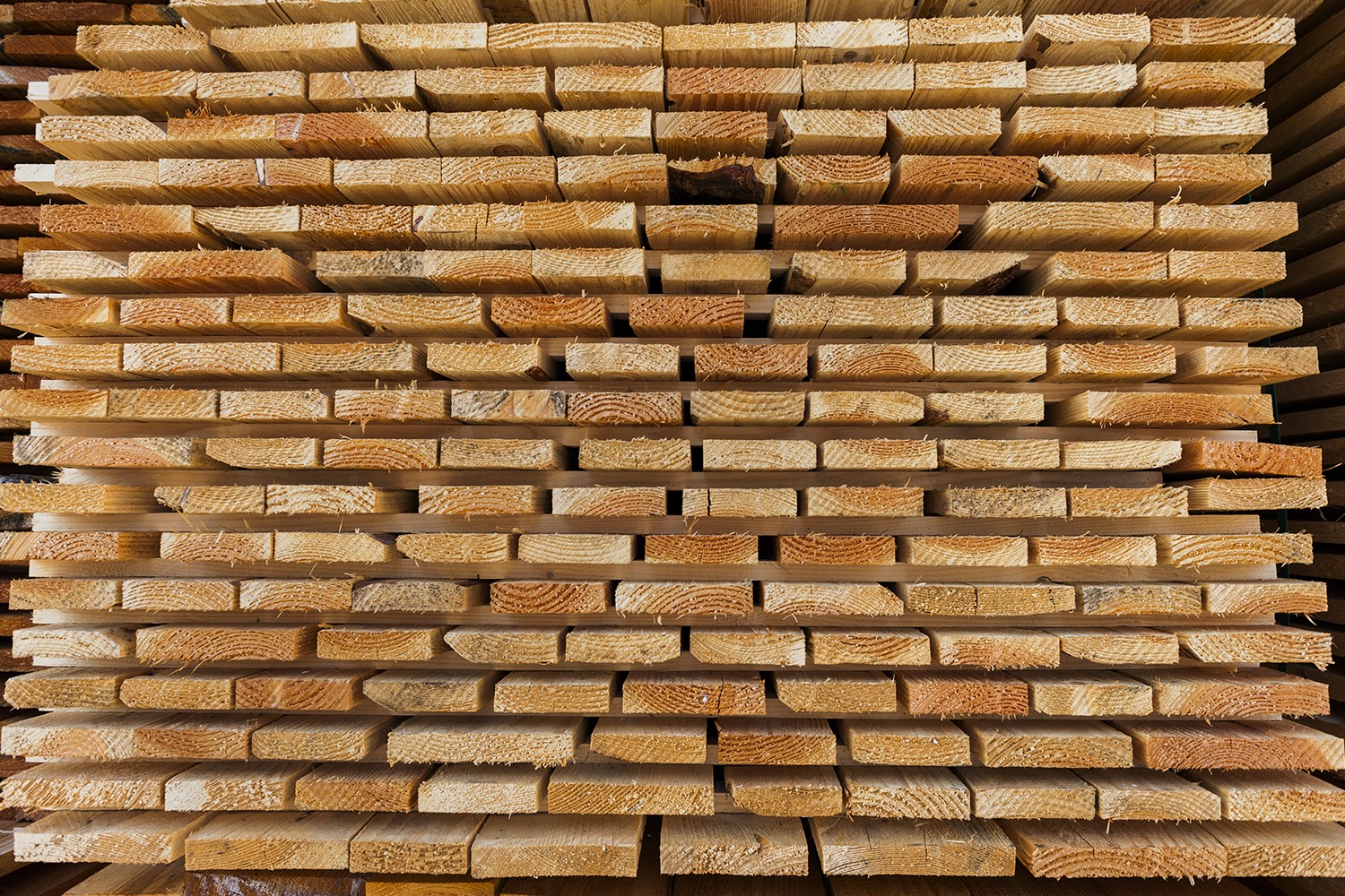 Le bois en détail