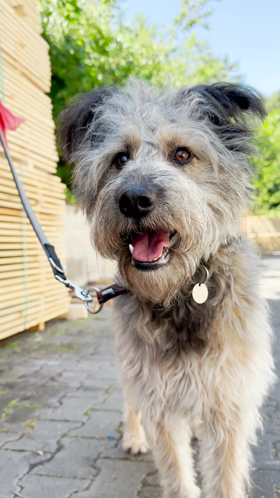 Tilly, du backoffice